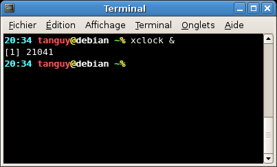 Lancer depuis un terminal